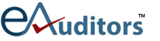 E Auditors Logo